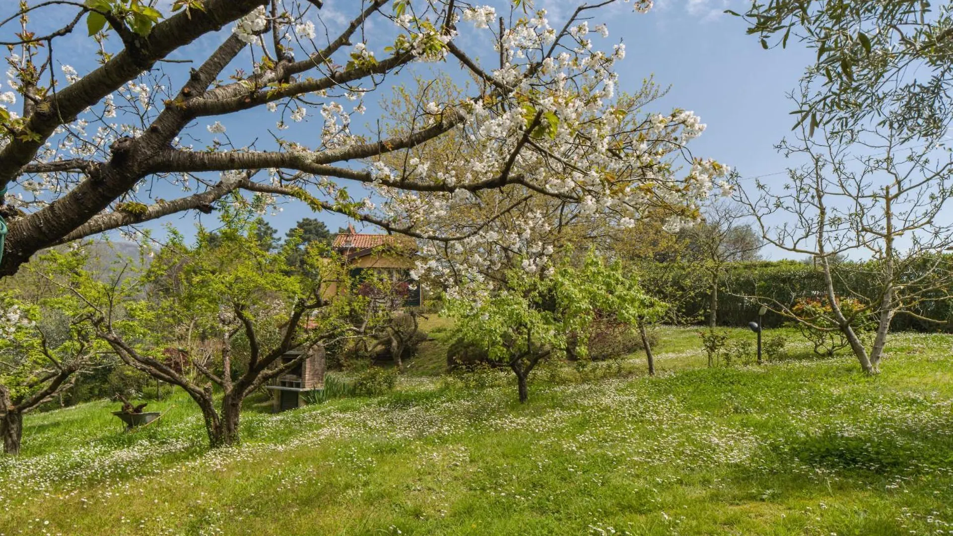 Villa Casa Gianna By Interhome Massarosa